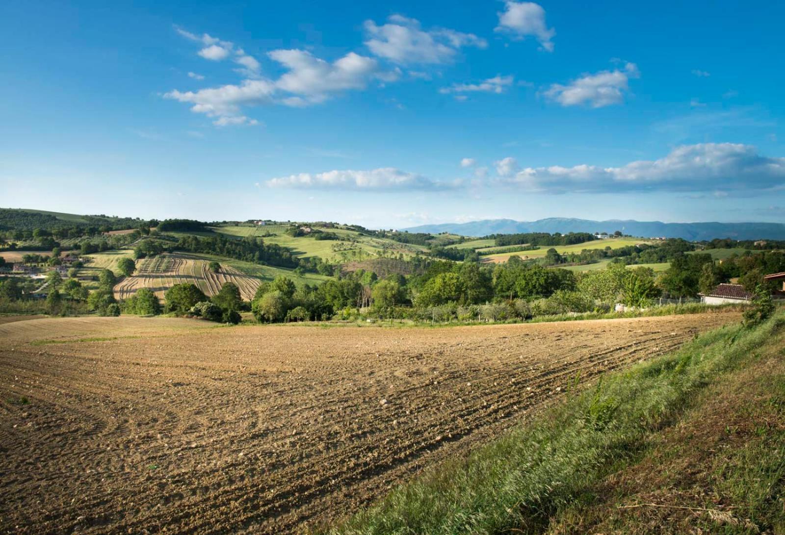 Agriturismo Piano Grande Avigliano Umbro Екстериор снимка