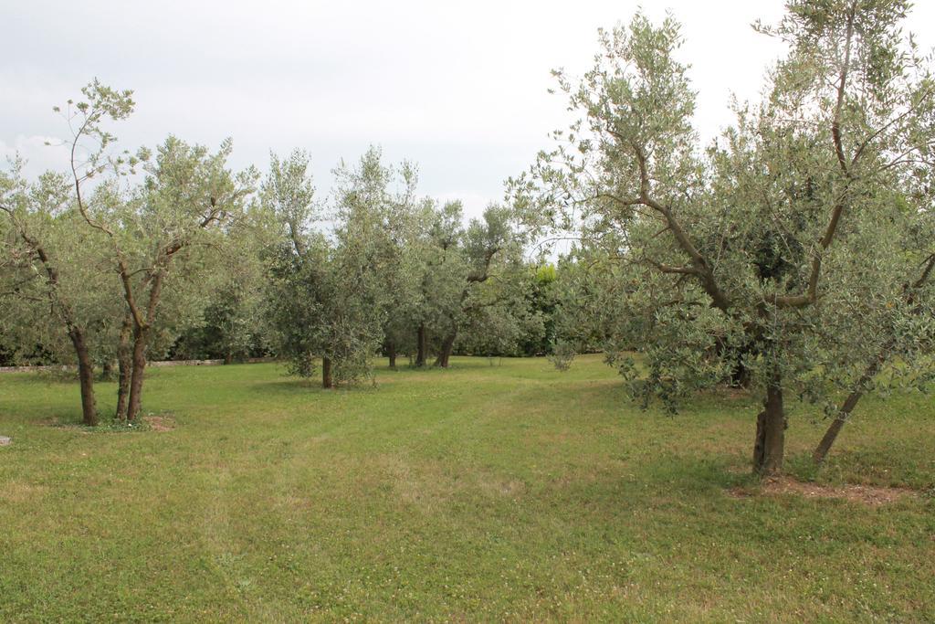 Agriturismo Piano Grande Avigliano Umbro Стая снимка